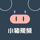 Trang web ứng dụng trực tiếp Xiaoqi